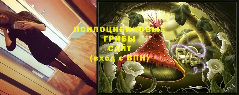 как найти   Бирск  Галлюциногенные грибы Magic Shrooms 